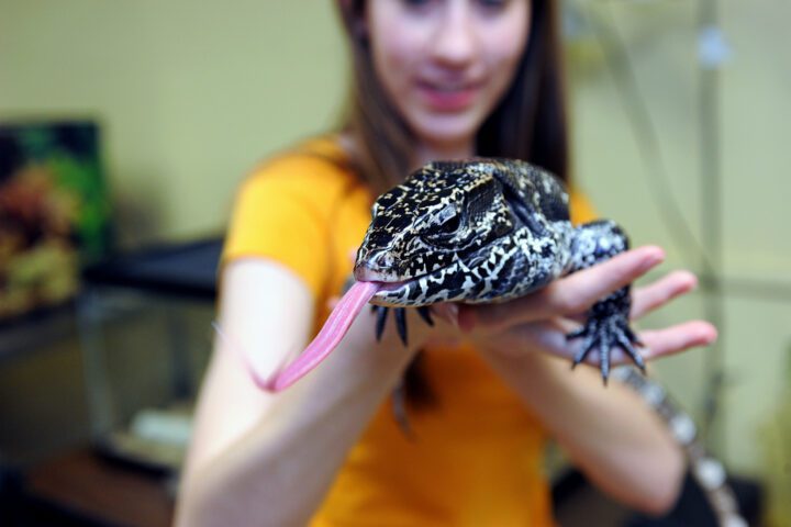 Image of Zoo and Wildlife Biology